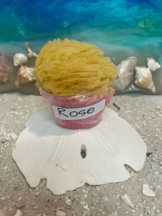 Bath Sponge with Natural Sea Sponge - Variety of Scents - Picture 2 of 5